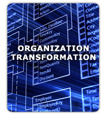 Transform Your Organization